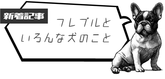 6fba2531831f3bc4b2a93b7b5dfb424e トップページ