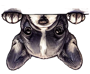 ps2 トップページ