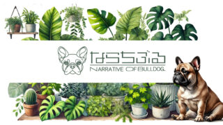 site eyecatch1 トップページ