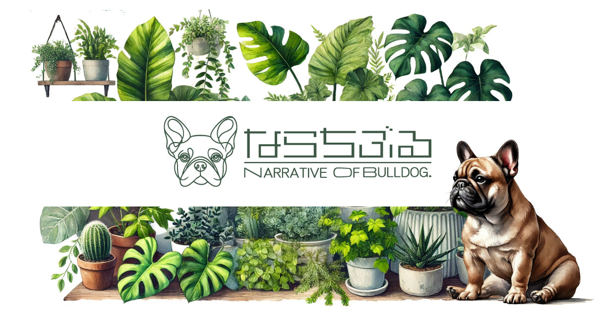 site eyecatch1 トップページ